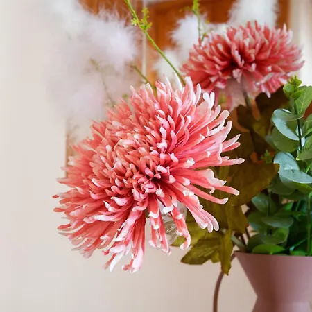 Vela Latina, A To Enjoy! Villa *