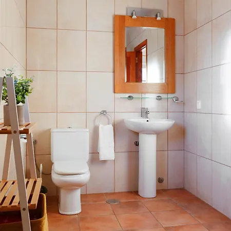 Vela Latina, A To Enjoy!