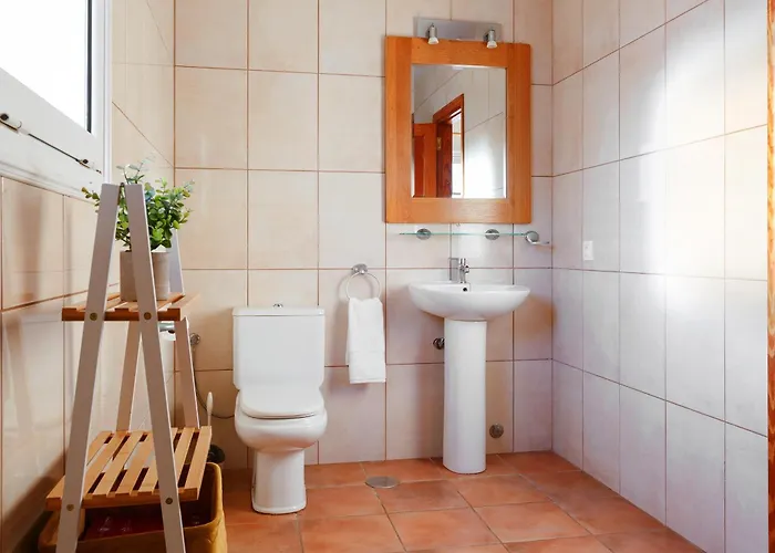 Vela Latina, A To Enjoy!