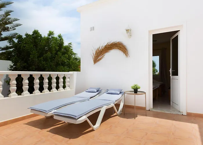 Vela Latina, A To Enjoy!