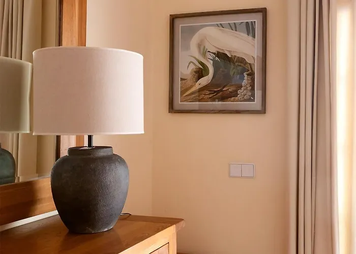 Vela Latina, A To Enjoy! *